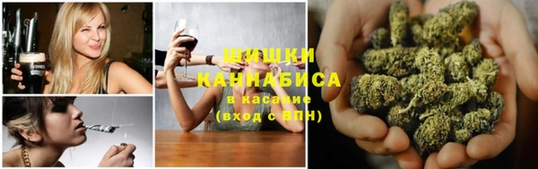 сатива Алексин