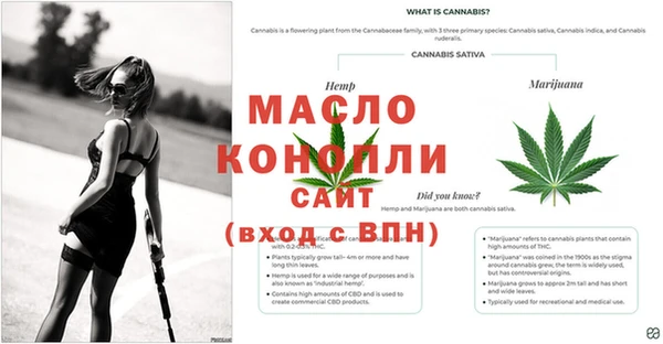 сатива Алексин