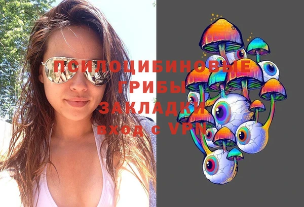 сатива Алексин
